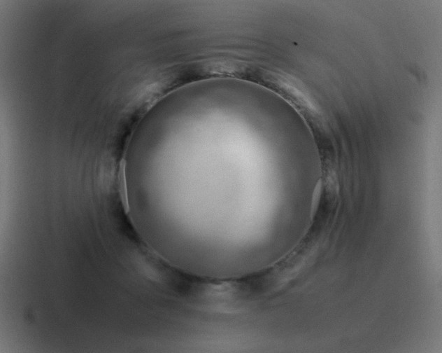 X0000116820411200912312019