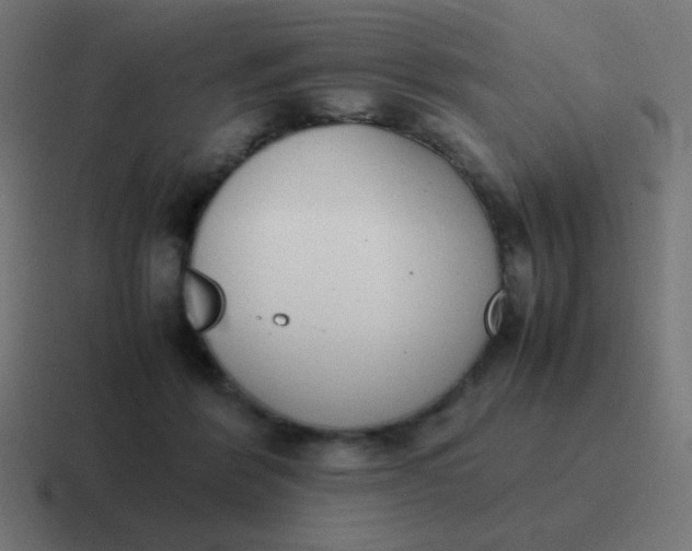 X0000116820412200912312019