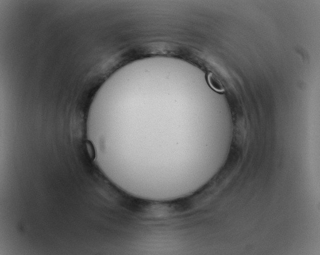 X0000116820413200912312019