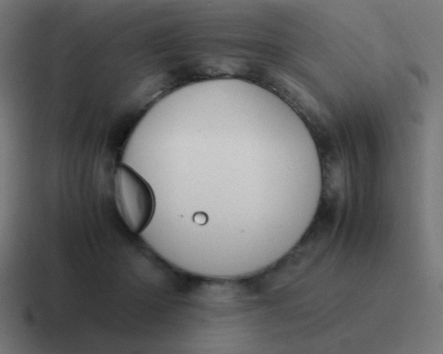 X0000116820414200912312019