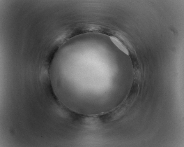 X0000116820415200912312019