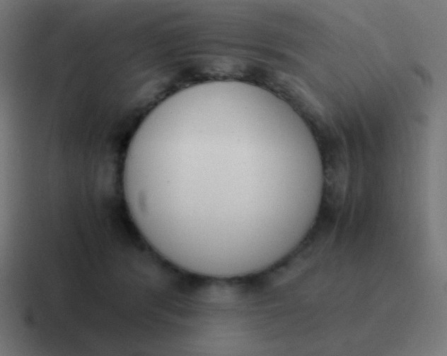 X0000116820416200912312019