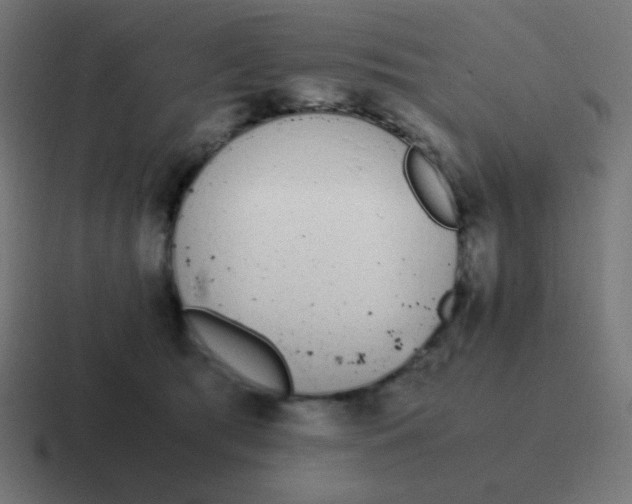 X0000116820417200912312019