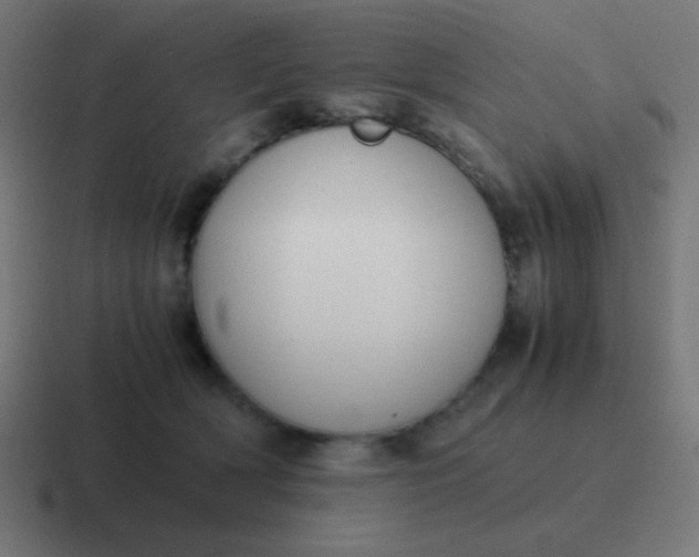 X0000116820418200912312019