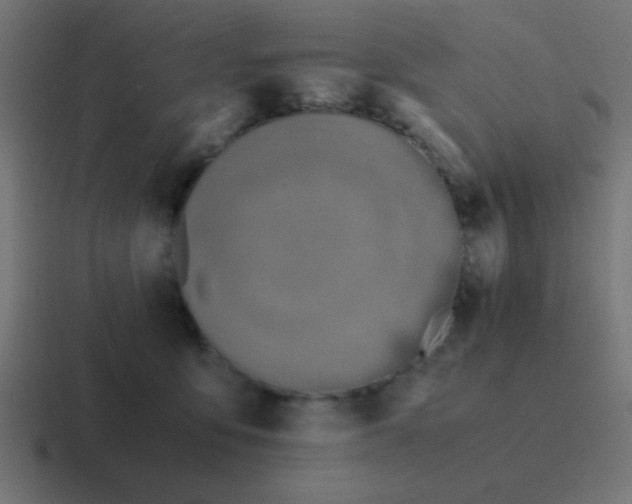 X0000116820419200912312019