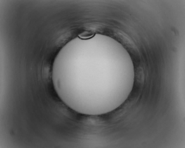 X0000116820420200912312019