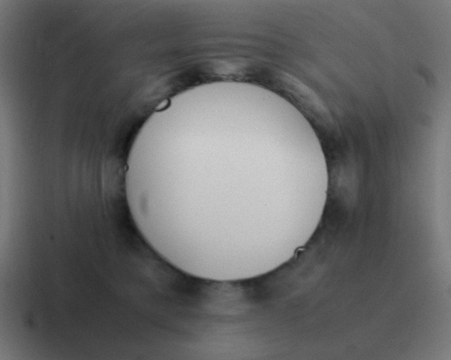 X0000116820421200912312019