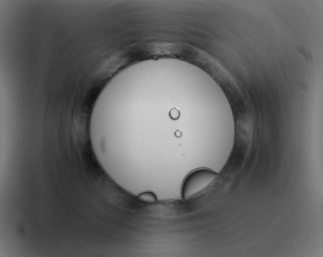 X0000116820422200912312019