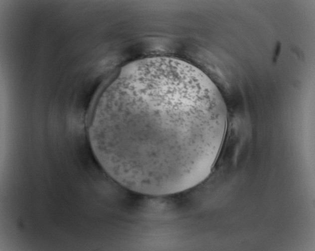 X0000116820423200912312019