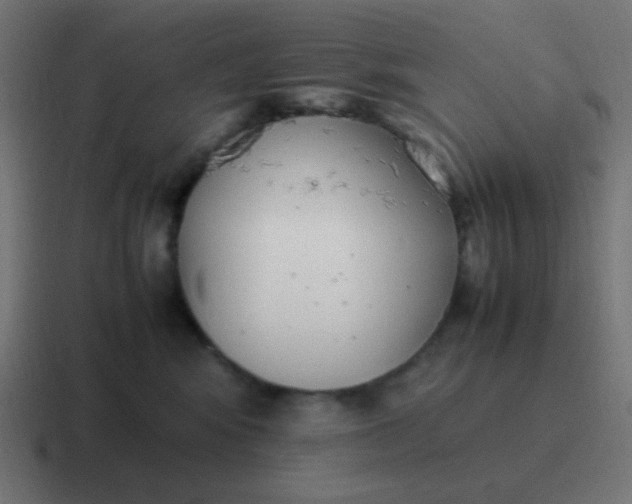 X0000116820424200912312019