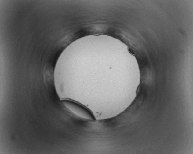 X0000116820425200912312019