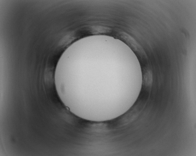 X0000116820426200912312019