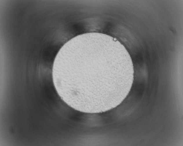 X0000116820427200912312019