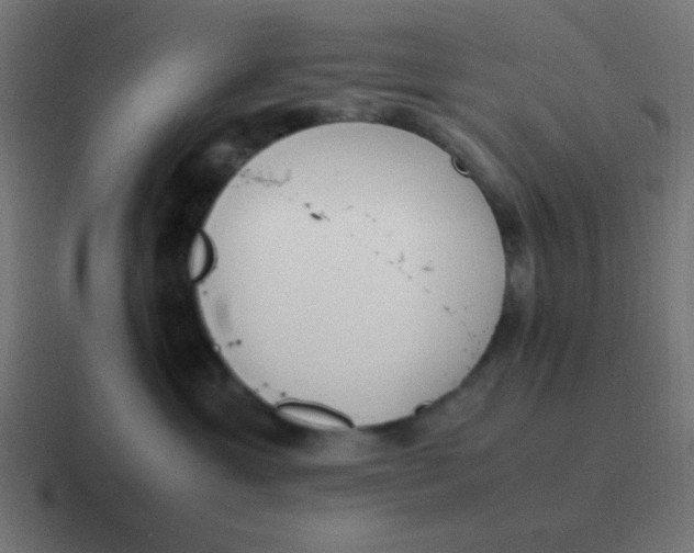 X0000116820429200912312019