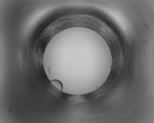 X0000116820431200912312019