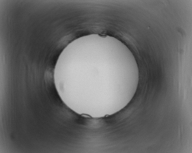 X0000116820432200912312019