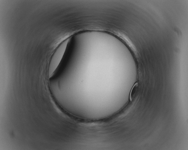 X0000116820433200912312018