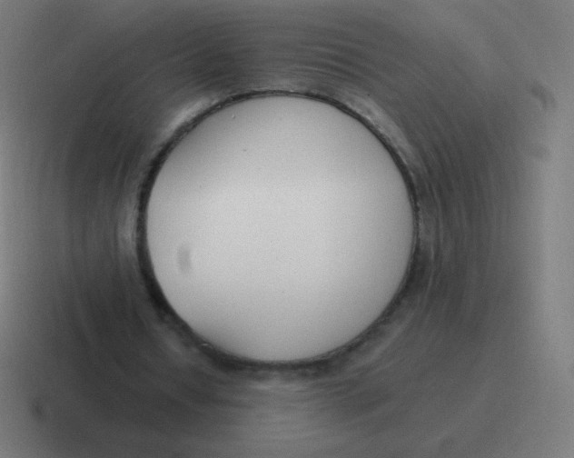 X0000116820434200912312018