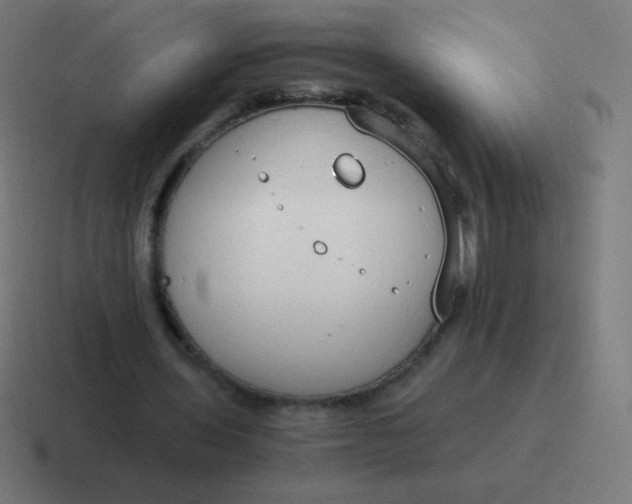 X0000116820435200912312018