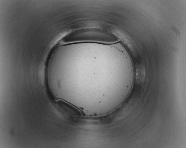 X0000116820436200912312018