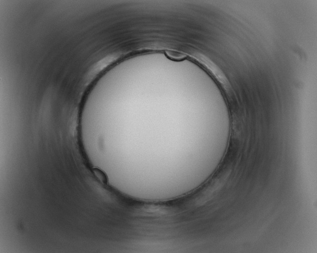 X0000116820437200912312018