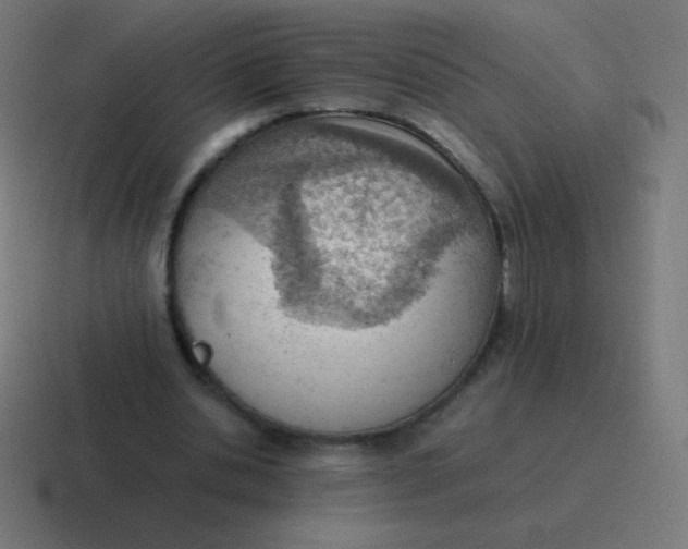 X0000116820438200912312018