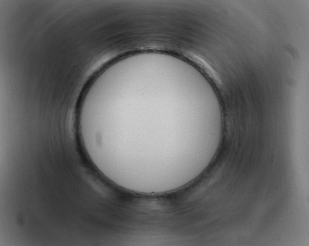 X0000116820439200912312018