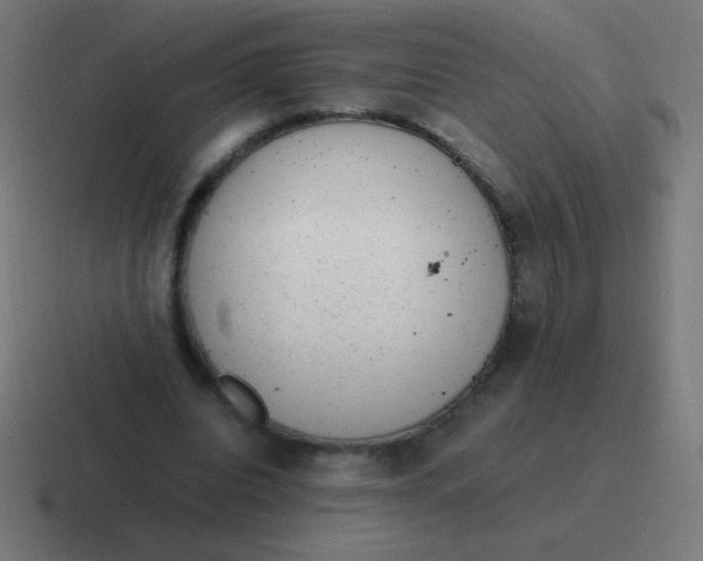 X0000116820440200912312019