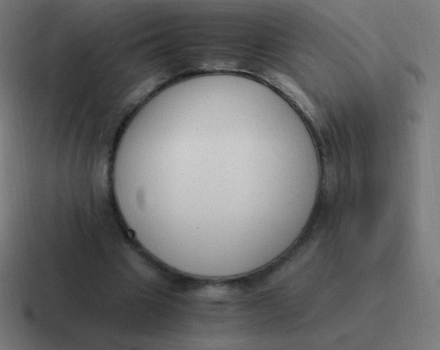 X0000116820441200912312019