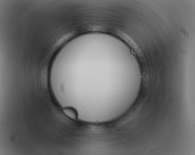 X0000116820442200912312019