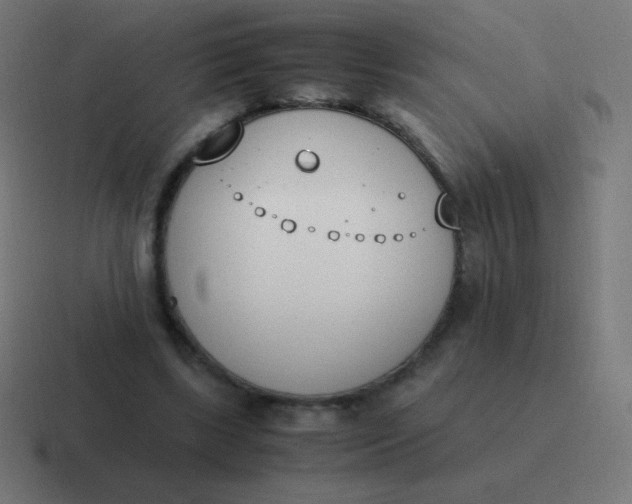 X0000116820443200912312019