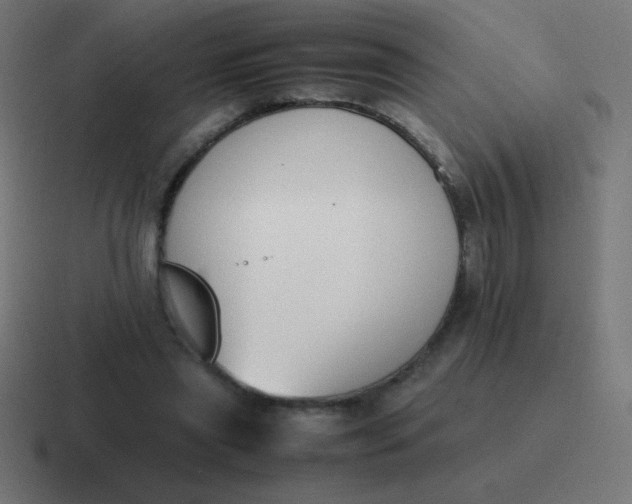 X0000116820445200912312019