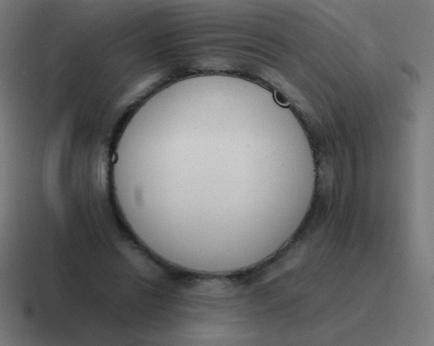 X0000116820446200912312019