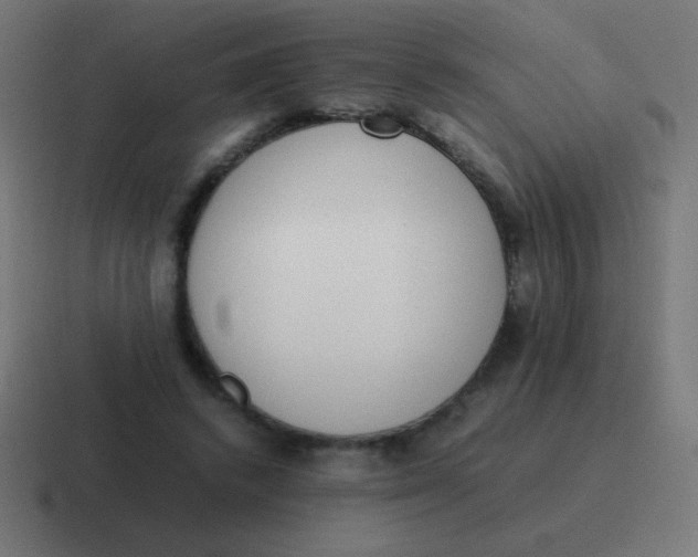 X0000116820448200912312019