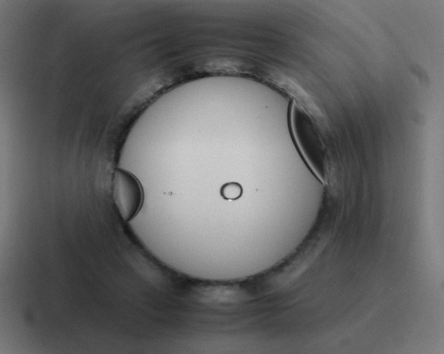 X0000116820449200912312019