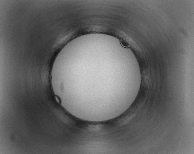 X0000116820450200912312019