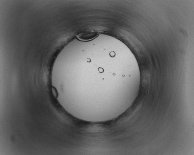 X0000116820451200912312019