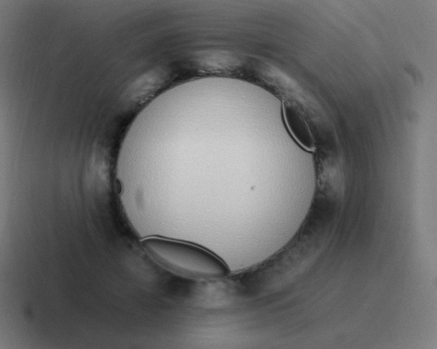 X0000116820452200912312019