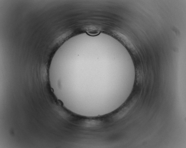 X0000116820453200912312019