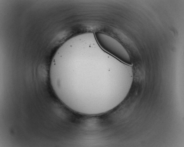 X0000116820456200912312019