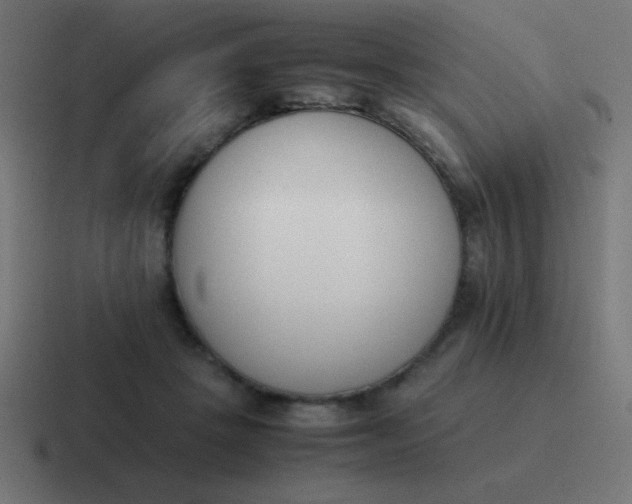 X0000116820457200912312019