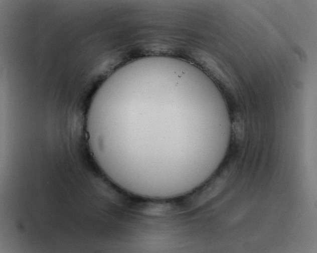 X0000116820458200912312019