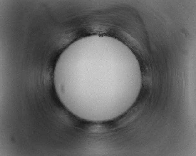 X0000116820460200912312019