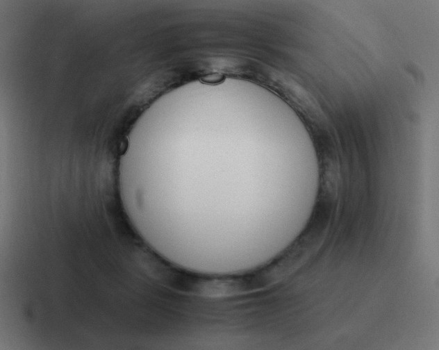 X0000116820461200912312019