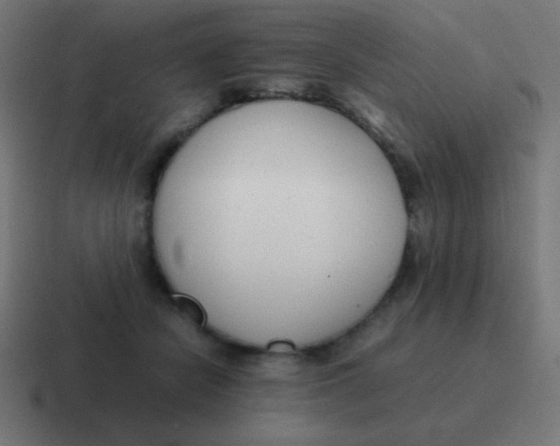 X0000116820462200912312019