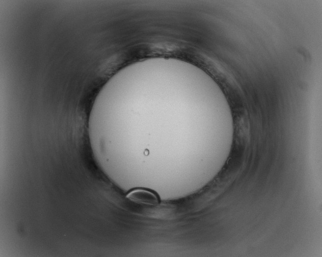 X0000116820463200912312019