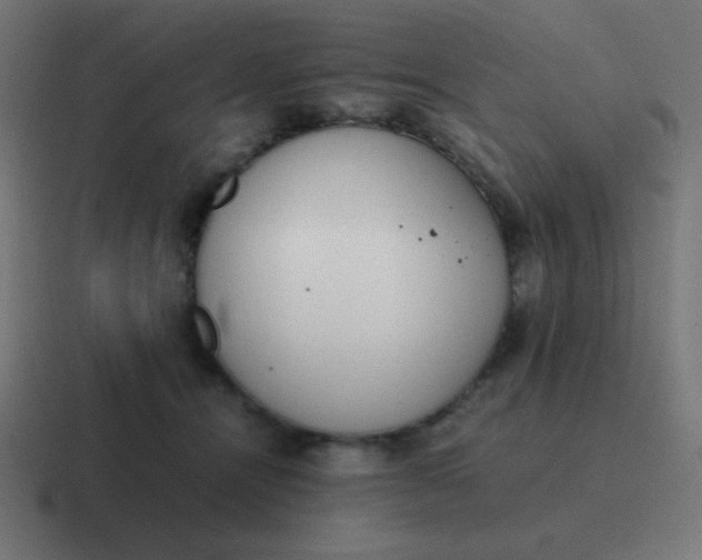 X0000116820464200912312019