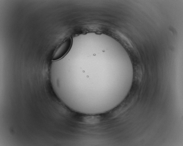 X0000116820465200912312019