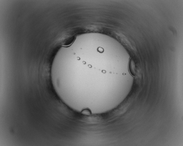 X0000116820466200912312019