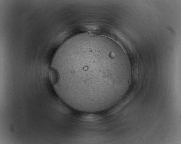 X0000116820467200912312019